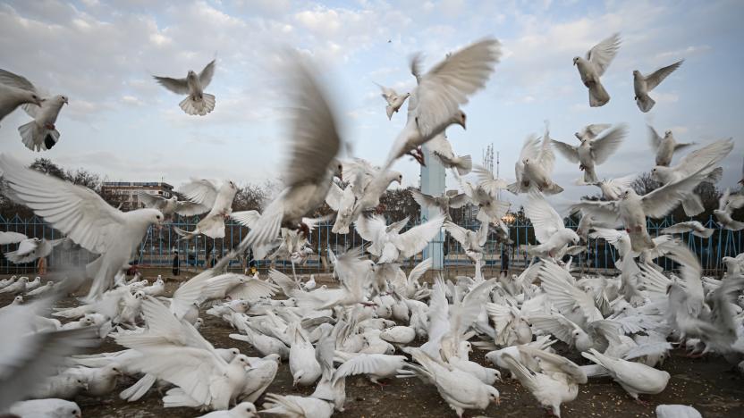 A flock of pigeons fly outside the compound of the Hazrat-e-Ali shrine or Blue Mosque in Mazar-i-Sharif on December 23, 2021. (Photo by Mohd RASFAN / AFP) (Photo by MOHD RASFAN/AFP via Getty Images)