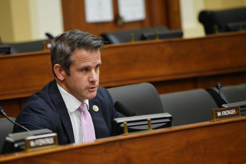 Rep.  Adam Kinzinger tells his fellow Republicans that Trump is convinced ‘necessary to save America’.