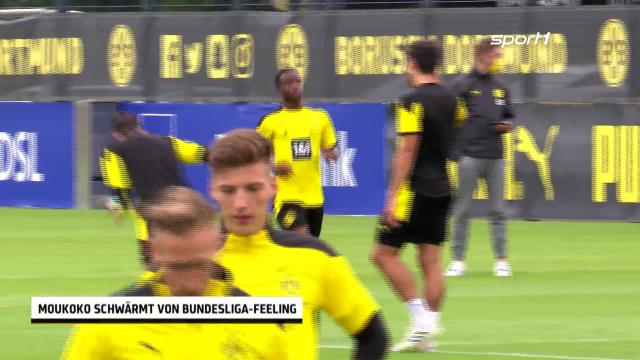 Youssoufa Moukoko Von Borussia Dortmund Schwarmt Von Seinem Profidebut