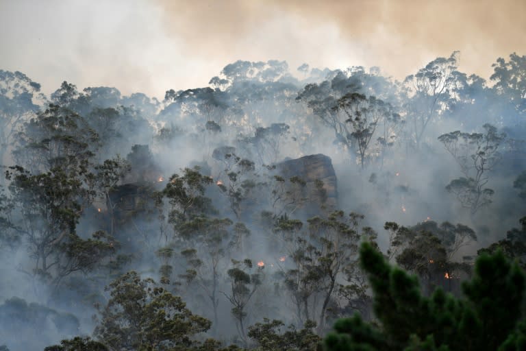 Toxic Sydney bushfire haze a 'public health emergency'