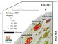 E-Tech Resources Unravels Regional-Scale Rare Earth Potential at Its Eureka Tenement in Namibia