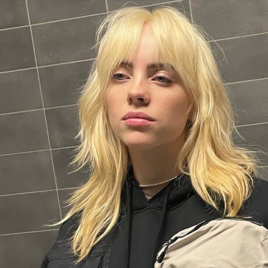 Billie Eilish Says She's Been Hiding Her Blonde Hair for Months: 'It ...