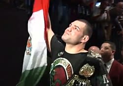 Ufc Cain Velasquez Vs Fabricio Werdum