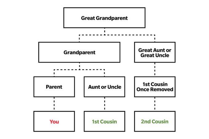 What S A Second Cousin Vs Second Cousin Once Removed