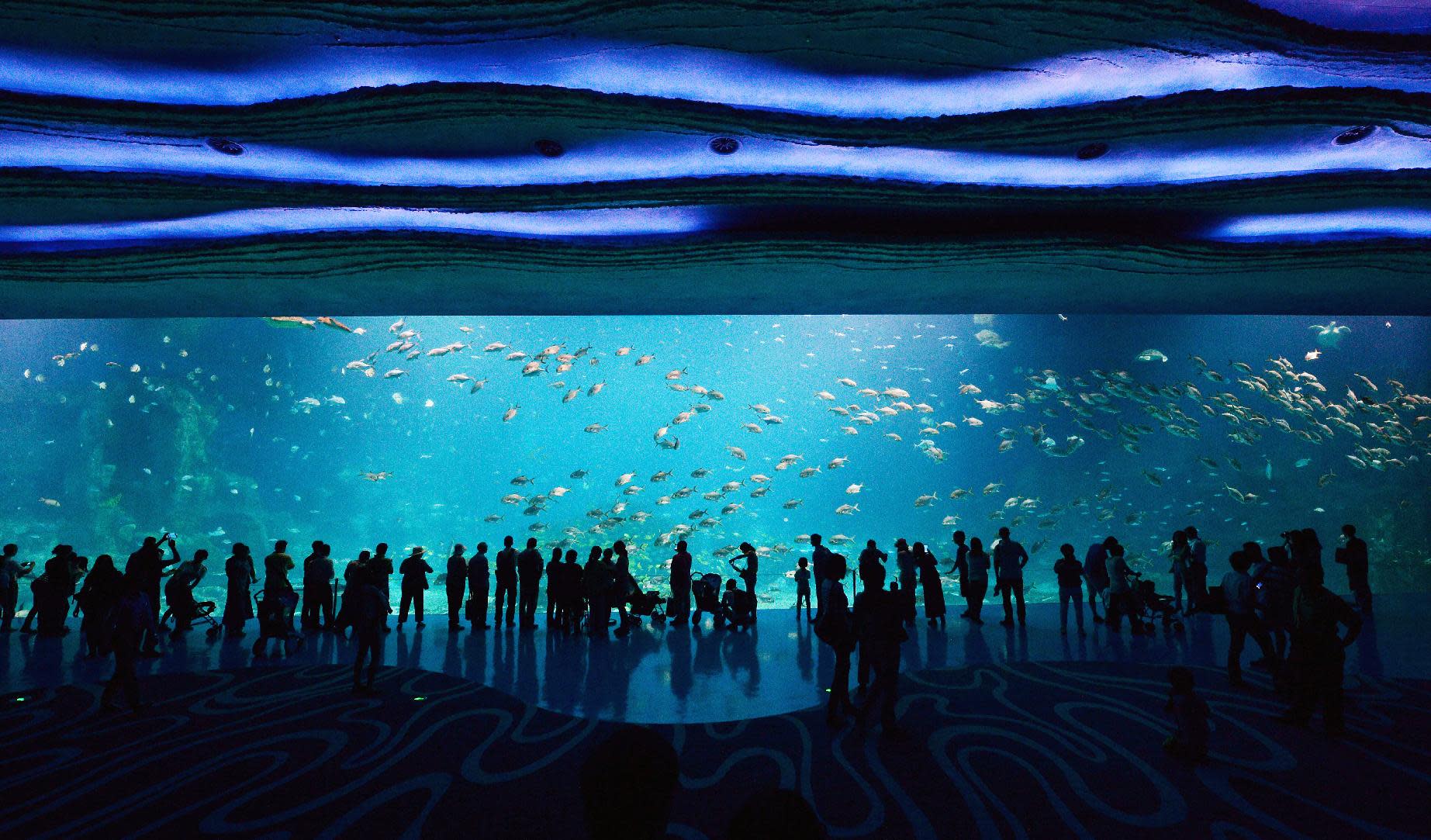  China  fishes for growth with world s largest aquarium 