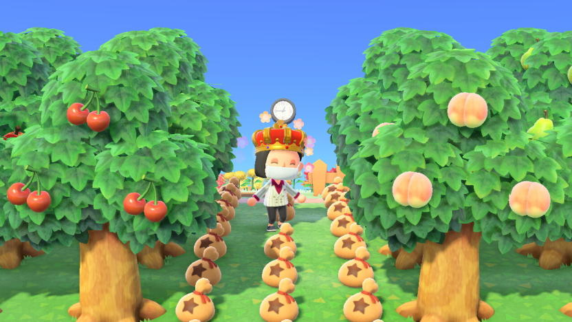 Animal Crossing