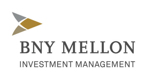 BNY Mellon Alcentra Global Credit Income 2024 Target Term ...