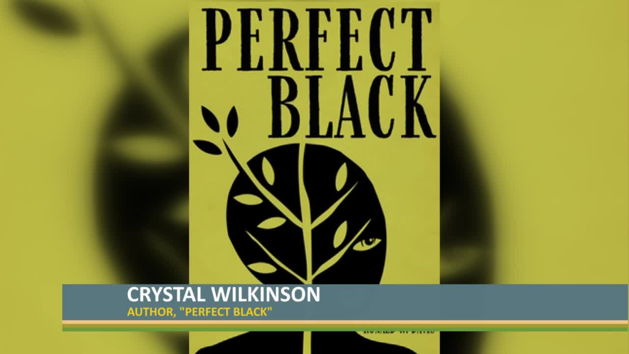  Perfect Black: 9780813151168: Wilkinson, Crystal