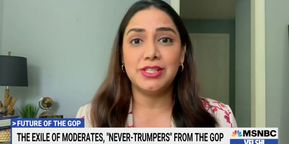 GOP Consultant Says Biden's Anti-MAGA Speech Made Her Cry, Gave Her Hope