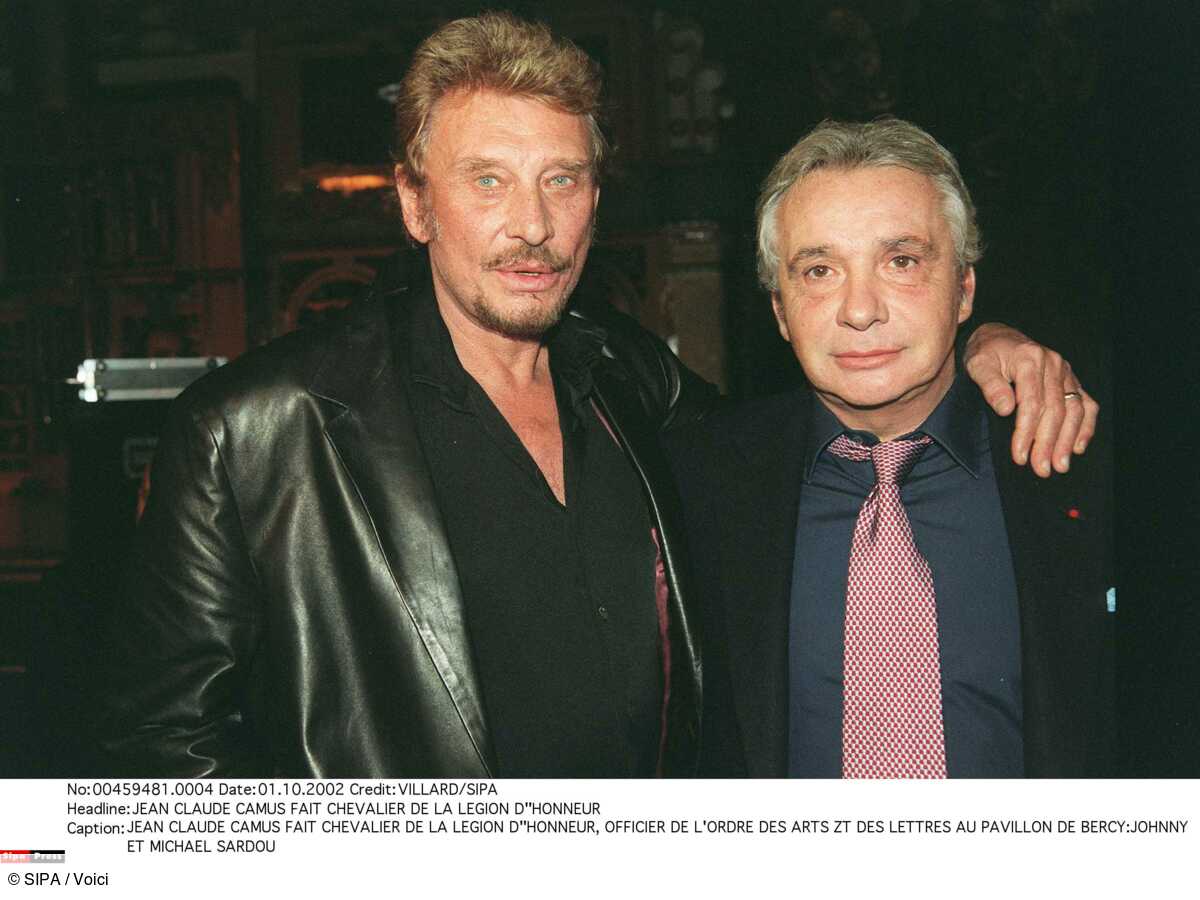 Johnny Hallyday et Michel Sardou fâchés : ces insultes ...