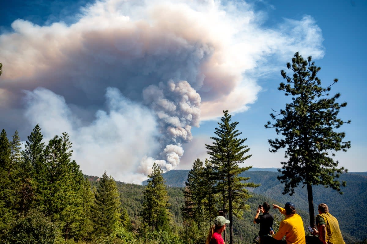 Un Feu De Forêt En Californie A Lancé Un Nuage De Fumée De La Taille Dune éruption Volcanique