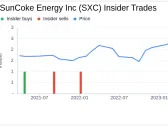 Insider Sell: CEO Michael Rippey Sells 222,533 Shares of SunCoke Energy Inc (SXC)