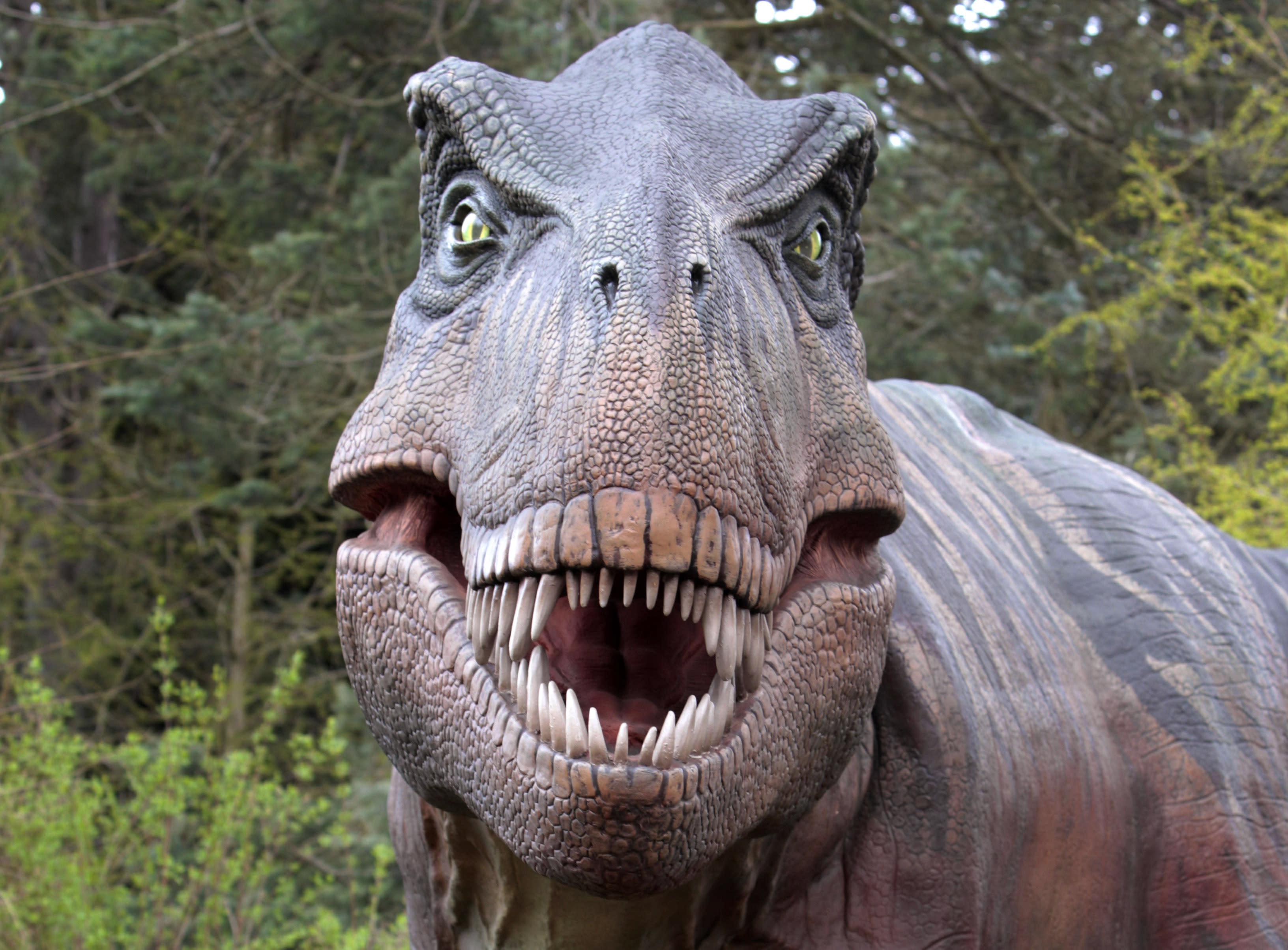 Bitten by hungry T. rex, this dinosaur got away