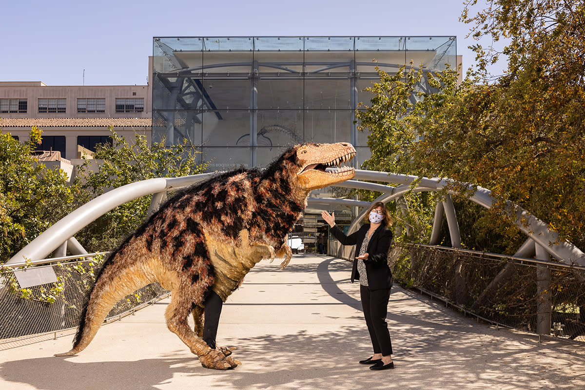 Natural History Museum Of Los Angeles County Reopens To The Public