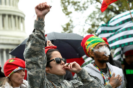 Up in Smoke: Marijuana activists cuffed after lighting up at U.S. Capitol