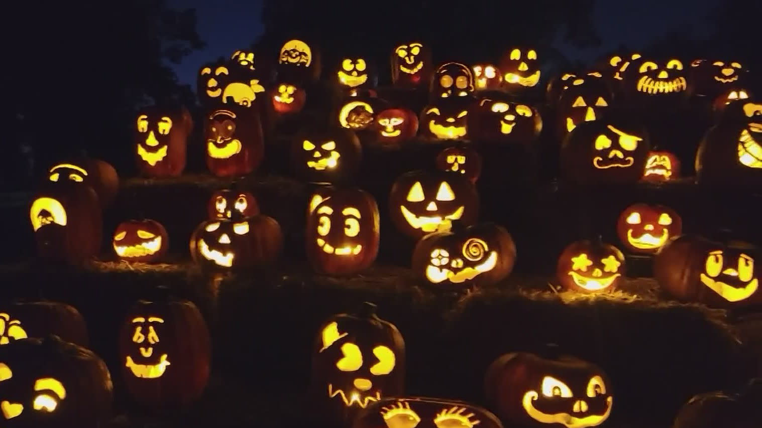 Jack O'Lantern World opens in Lemont, Illinois