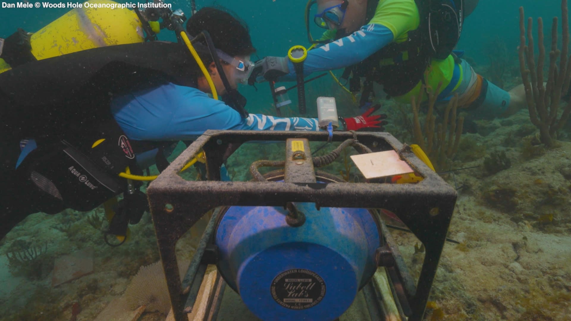 Scientists are using underwater speakers to help restore degraded