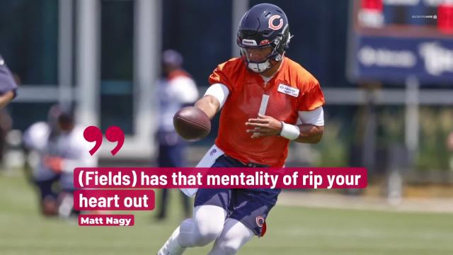 Bears rookie QB Justin Fields received a thrilling ovation at Cubs game