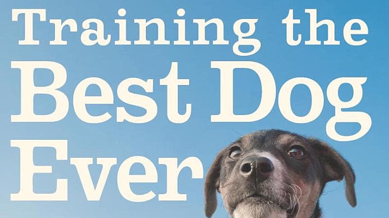 The Power of Positive Dog Training (Paperback)