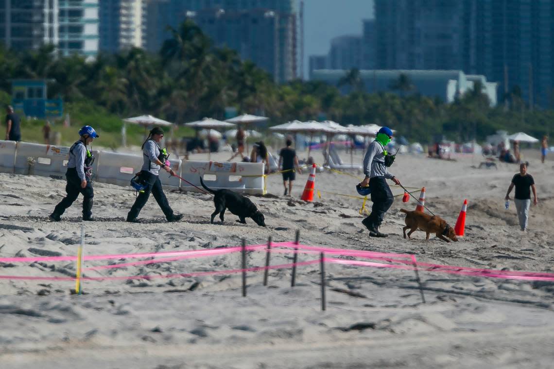 The rest of the collapsed Surfside condo will be razed. What of the pets left be..