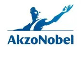 Akzo Nobel NV's Dividend Analysis