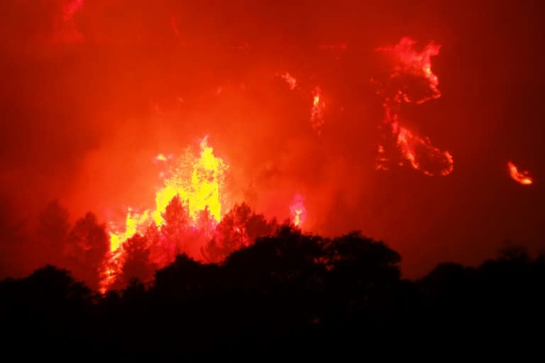 Strong winds fan fierce wildfire in southern France