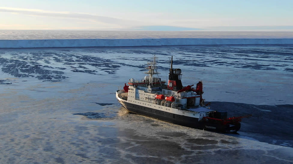 Antarctic seabed exposed after 50 years of ice cover