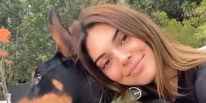 Kendall Jenner Lightened Her Hair To A Dreamy Chocolate Brown Colour