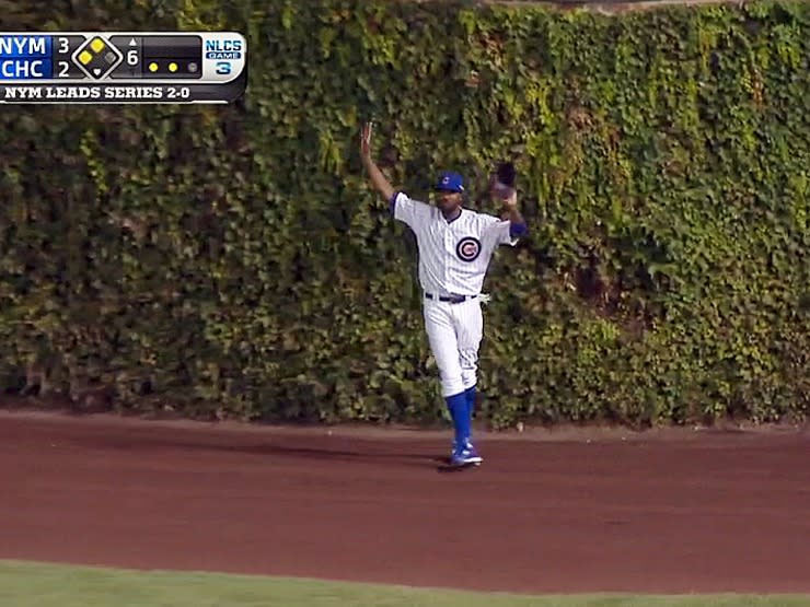 Ivy at Wrigley Field? It was snatched from Indy