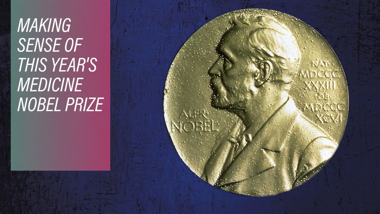 Нобелевская премия деньги в рублях. Nobel Pharma. Фокин Нобелевская премия. Nobel Prize Laureate: g. b. Shaw Plays. Нобелевская премия Шеннону.