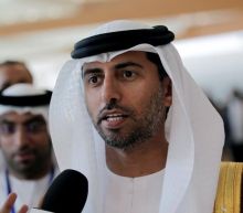 OPEC need not rush into changing oil pact: UAE