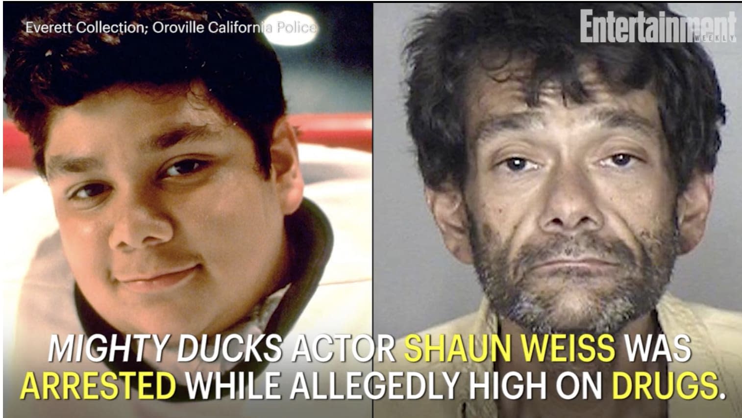 Mighty Ducks' Actor Shaun Weiss Arrested For Burglary While High
