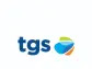 Transportadora de Gas del Sur SA (TGS): A Strong Contender in the Oil & Gas Industry with ...