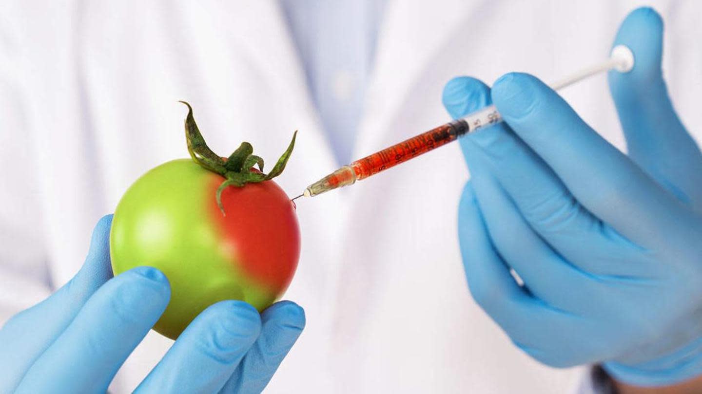 research on the genetically modified organisms