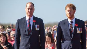 Royal Insiders Worry What Will Happen If Prince William Is Given Prince Harry's Military Titles