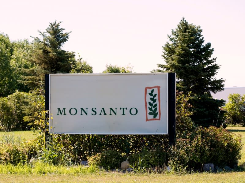 India s Andhra  Pradesh  investigates planting of Monsanto s 