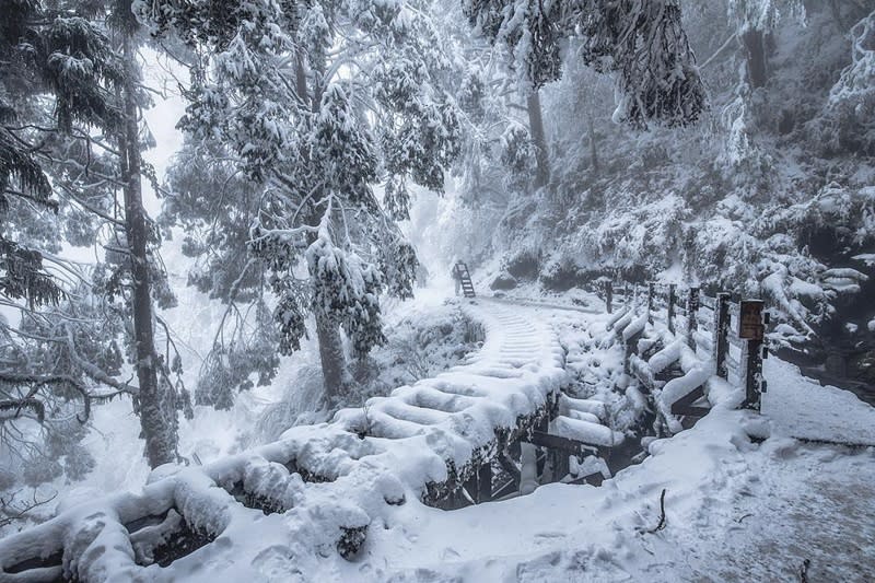 人気定番 俄 小輪 雪小路 - www.bayareaetc.org