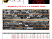 Goliath Intercepts 9.40 g/t AuEq Over 7.00 Meters in Bonanza Shear Within The Golden Gate Feeder Zone Confirming An Extensive Stacked System Containing Multiple Bonanza-Grade Veins Over 1.8 Km2 on Golddigger, Remains Wide Open - Golden Triangle, British Columbia