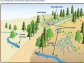 Soil Productivity