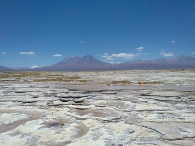 Minonal Minerals celebra un Acuerdo de Opción Definida con Chile Lithium para adquirir el 50,01% del proyecto Salar de Torre en el triángulo del litio, Chile