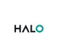 Halo Collective Provides Update on Status of Financial Statements