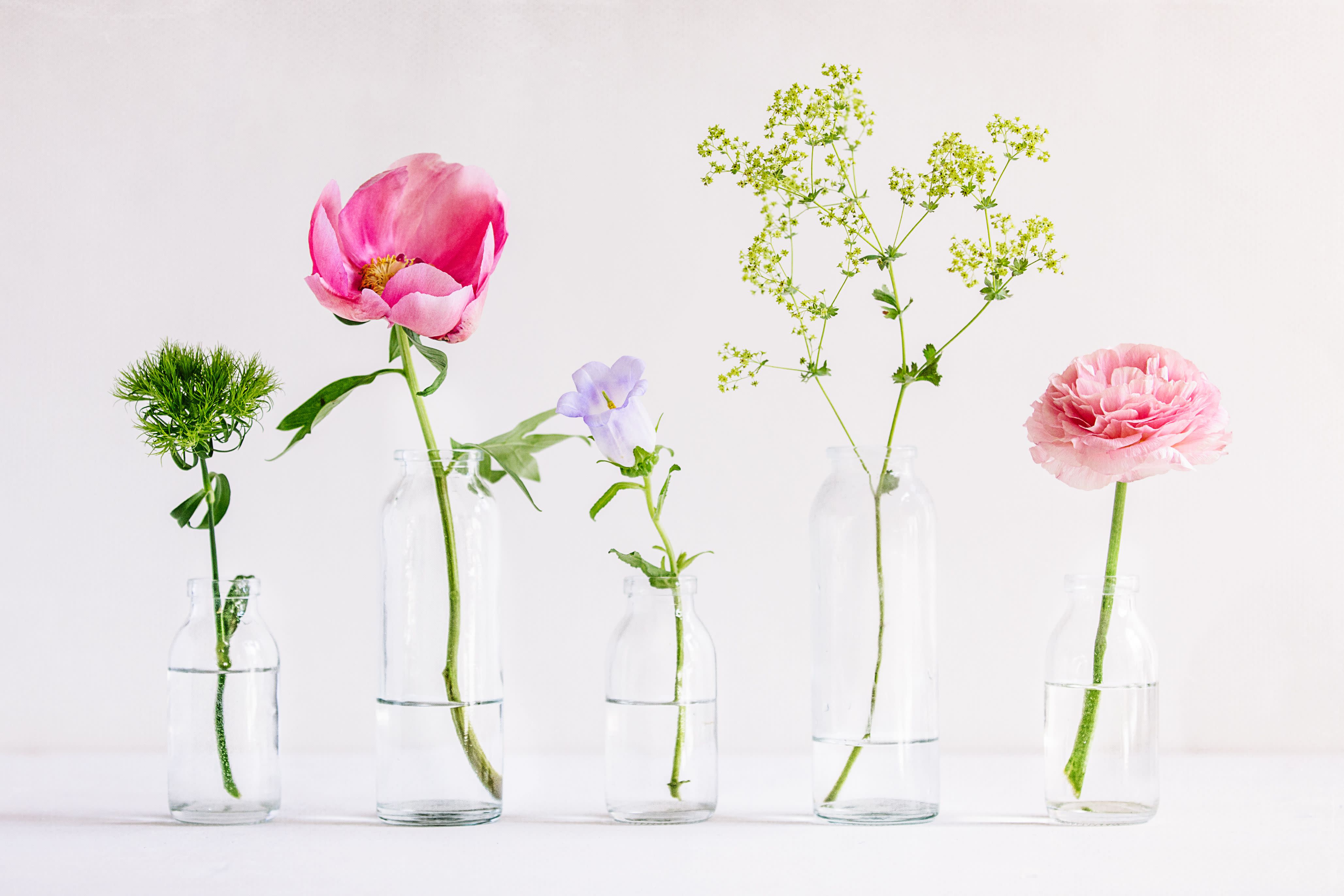 6 flowers. Flowers in Tall Glass Vases рисунок. Цеплялка цветок (6см ). Flowers 6х3. Готовимся к весне 2022.