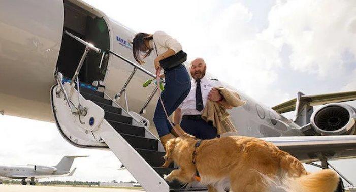 全球首班「狗狗專屬航空」