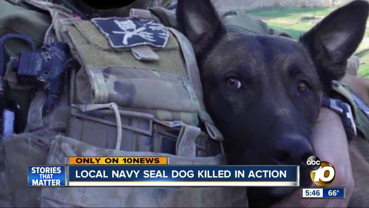 do navy seals use dogs