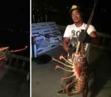 Fisherman Discovers Giant 14-Pound Lobster: 'Never In My Life Have I Seen Anything This Big'