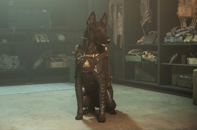 Promotional still from season five of ‘Call of Duty: Modern Warfare II.’ Merlin, a black-furred German Shepherd wearing battle fatigues, sits inside a dimly lit loadout room. He is smiling and appears to be a very good boy.