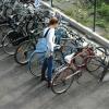 Milano, pagati per andare in bici: idea Maran