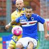 Sampdoria-Frosinone 2-0: Fernando più Quagliarella, i blucerchiati respirano