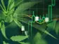 Cannabis ETFs Spike on Marijuana Classification Review