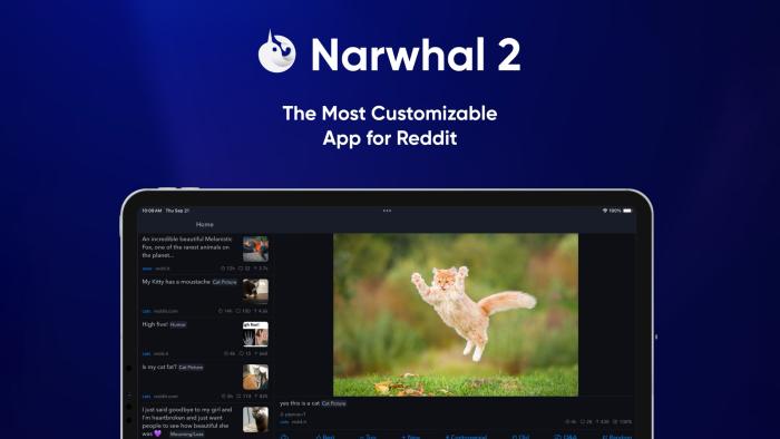 Marketing image for the Reddit client Narwhal 2. It shows the app running on an iPad, with a picture of a cat jumping in the air prominent (next to Reddit comments and threads).